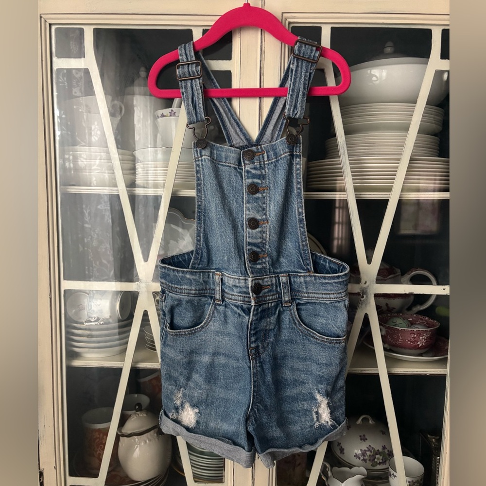Cat & Jack Overall Shorts